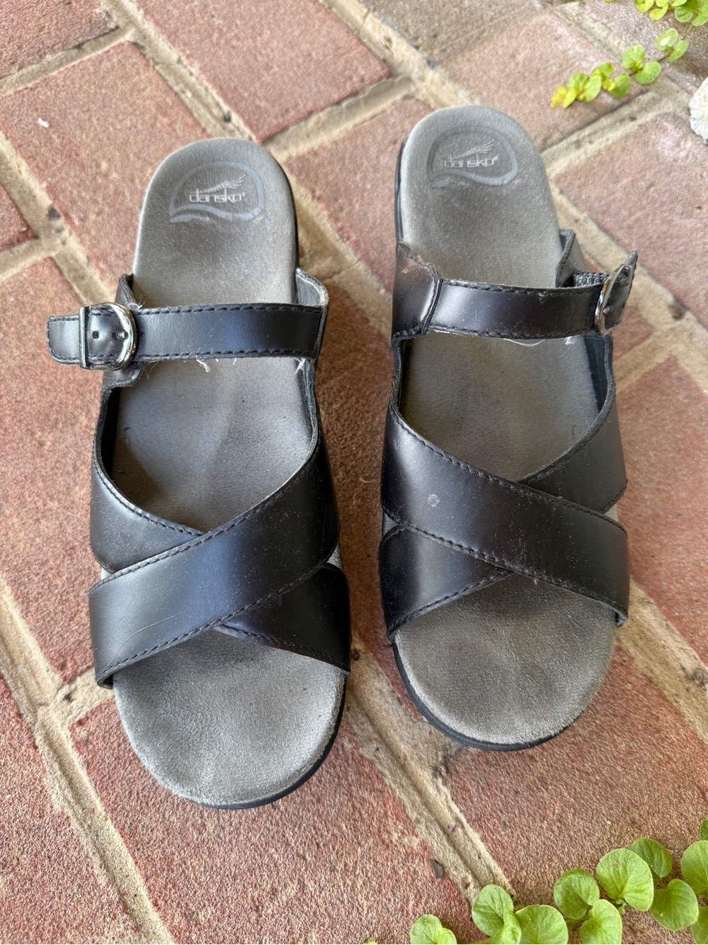 Dansko Black Leather Cross-Strap Buckle Mules